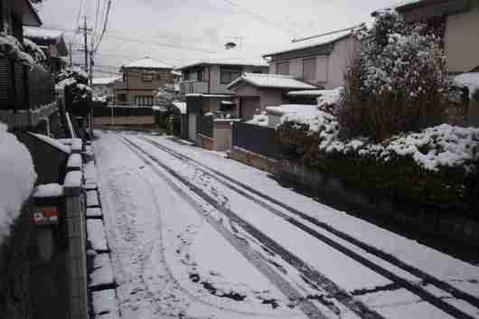 名古屋でも積雪・自宅前.jpg